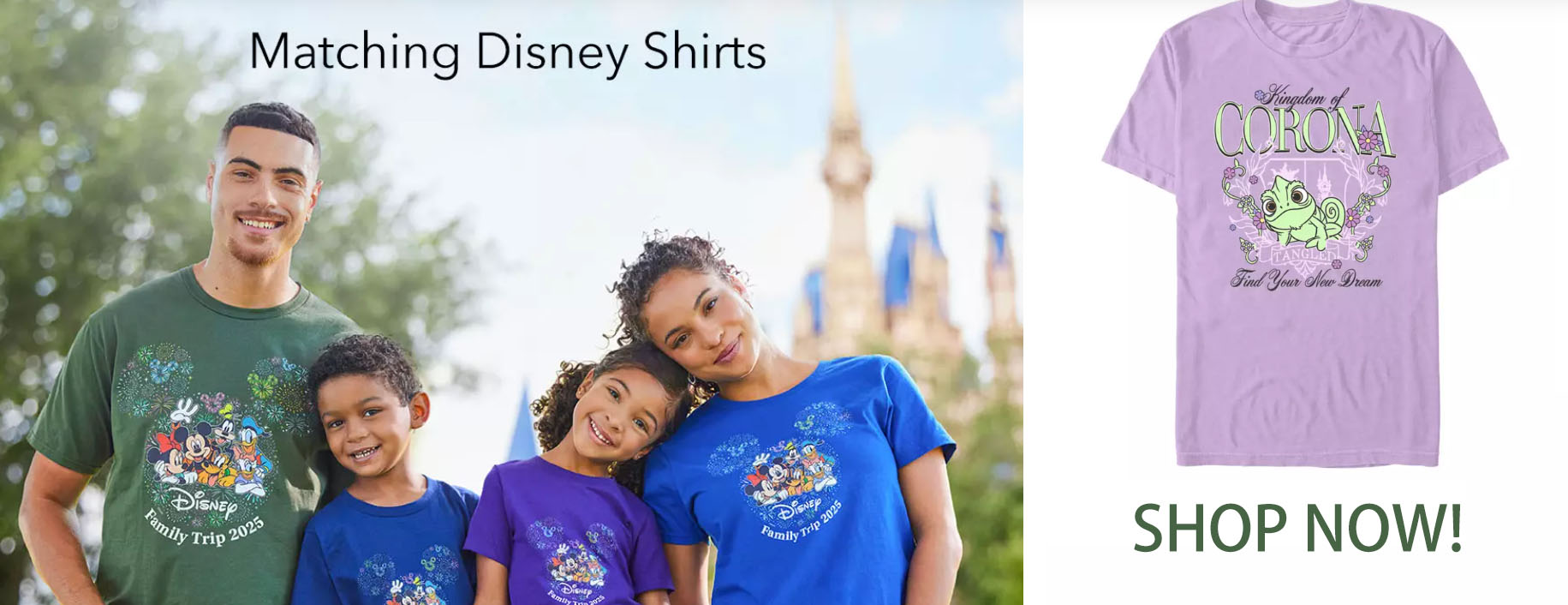 Disney -Disney FHFGH