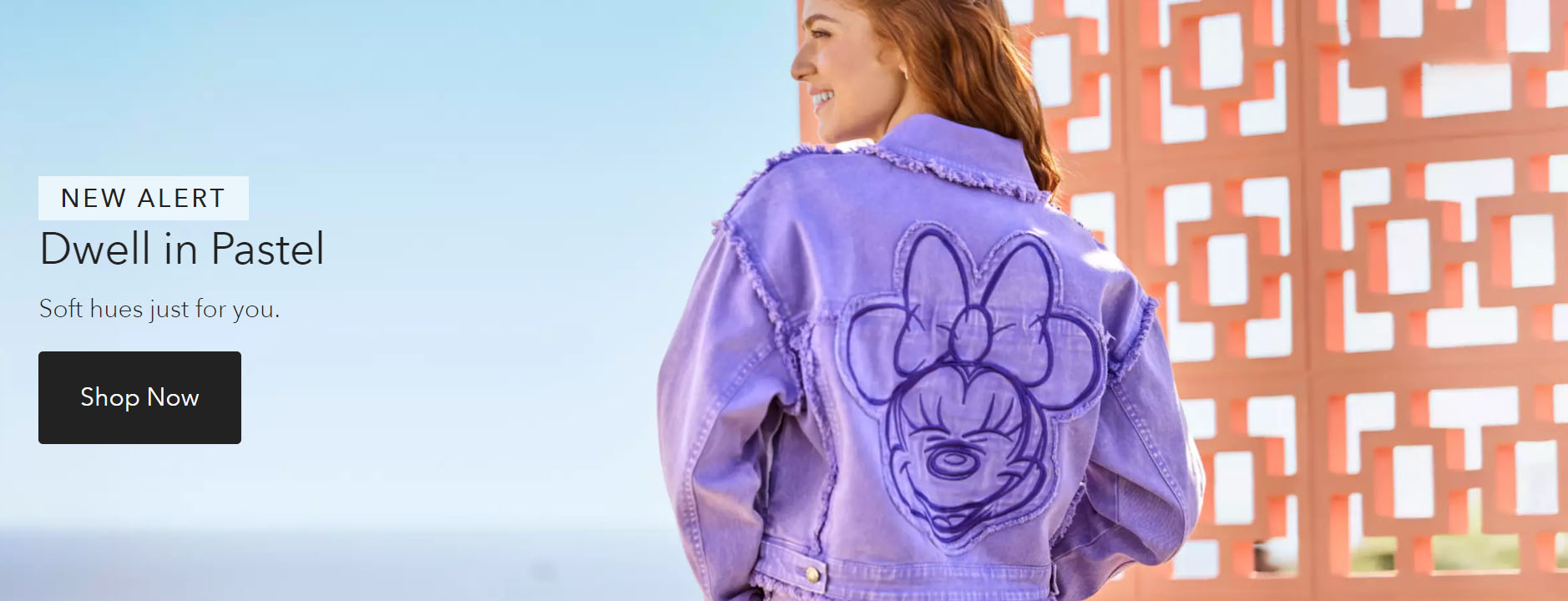 Disney -Disney FHGFH